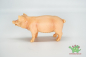 Preview: Schleich Schwein, stehend 13208